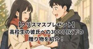 クリスマスプレゼント　彼氏　高校生　3000円以下